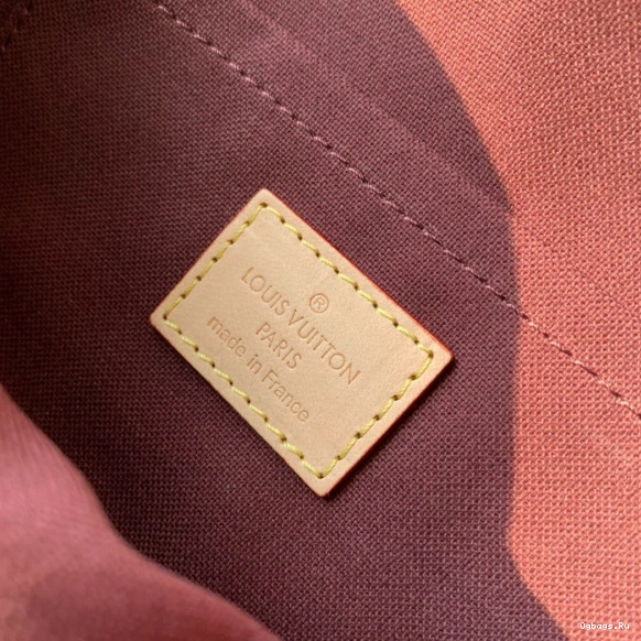 Vuitton Favorite Louis PM 0225